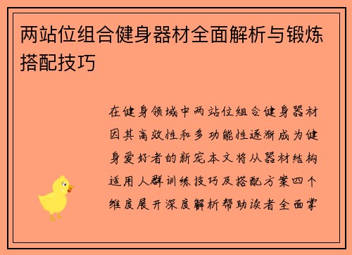 两站位组合健身器材全面解析与锻炼搭配技巧