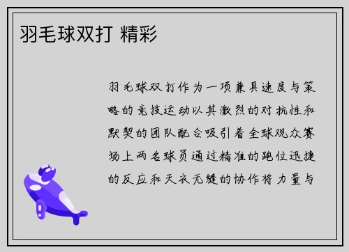 羽毛球双打 精彩