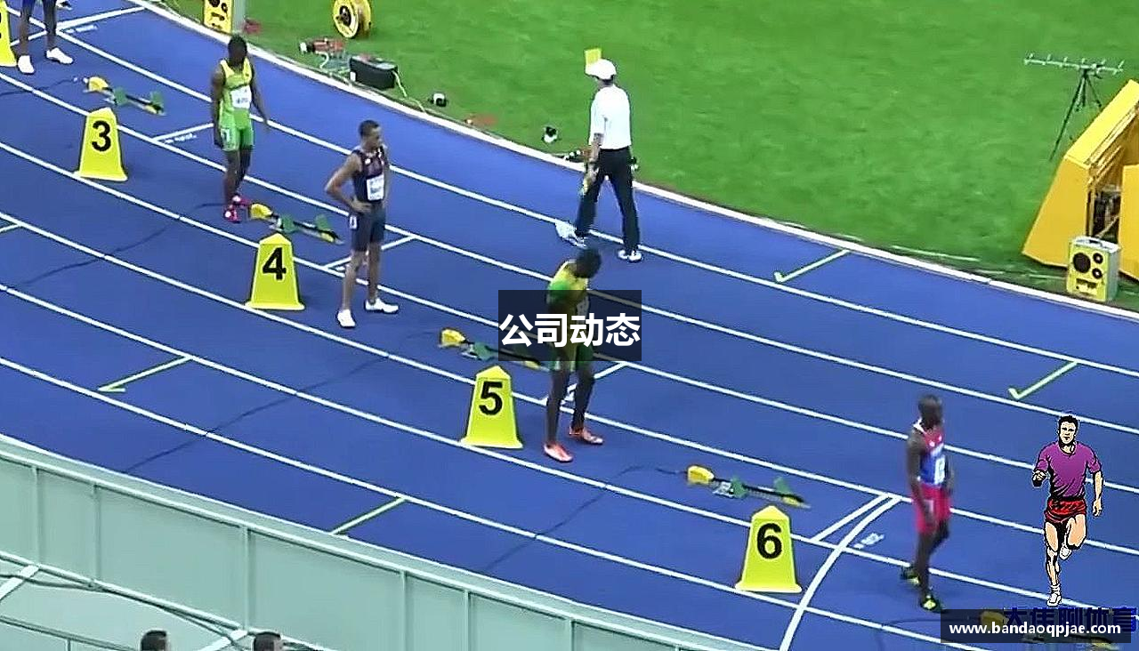 公司动态