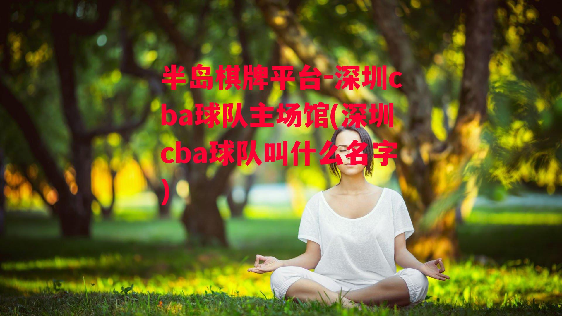 深圳cba球队主场馆(深圳cba球队叫什么名字)